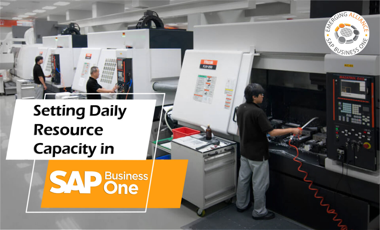 SETTING DAILY RESOURCE CAPACITY IN SAP B1 SAP B1