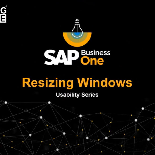 usability series resizing windows in sap b1