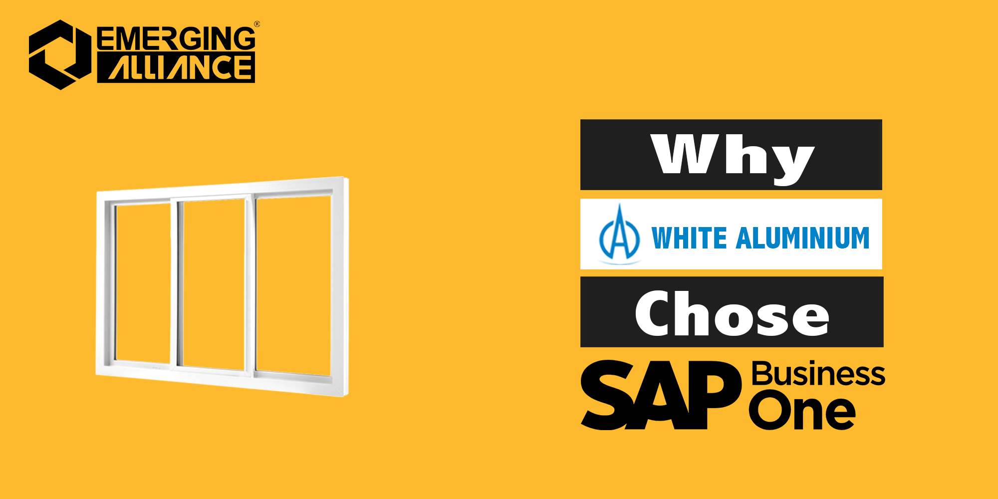 why white aluminum chose sap business one