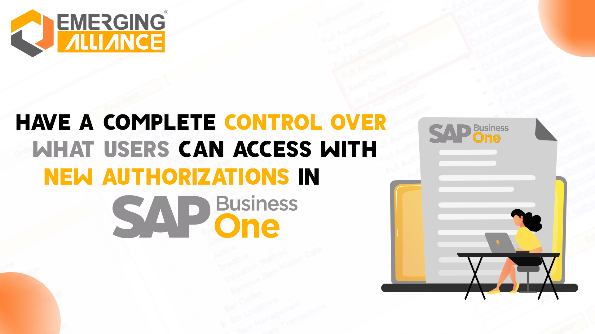 have complete control over helps can access with authorization with sap b1