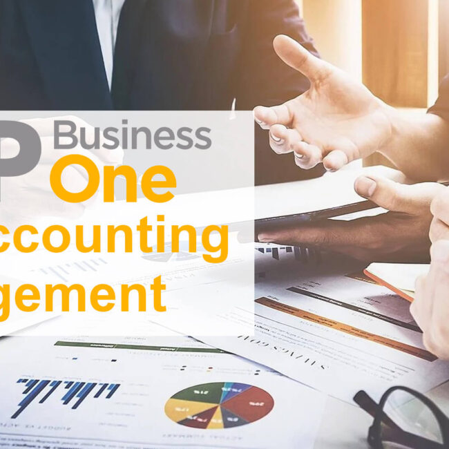 sap business one for accounting management