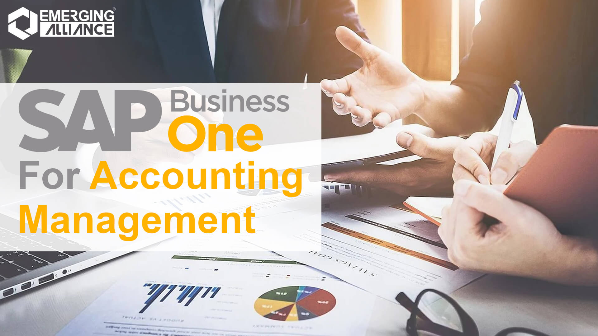 sap business one for accounting management