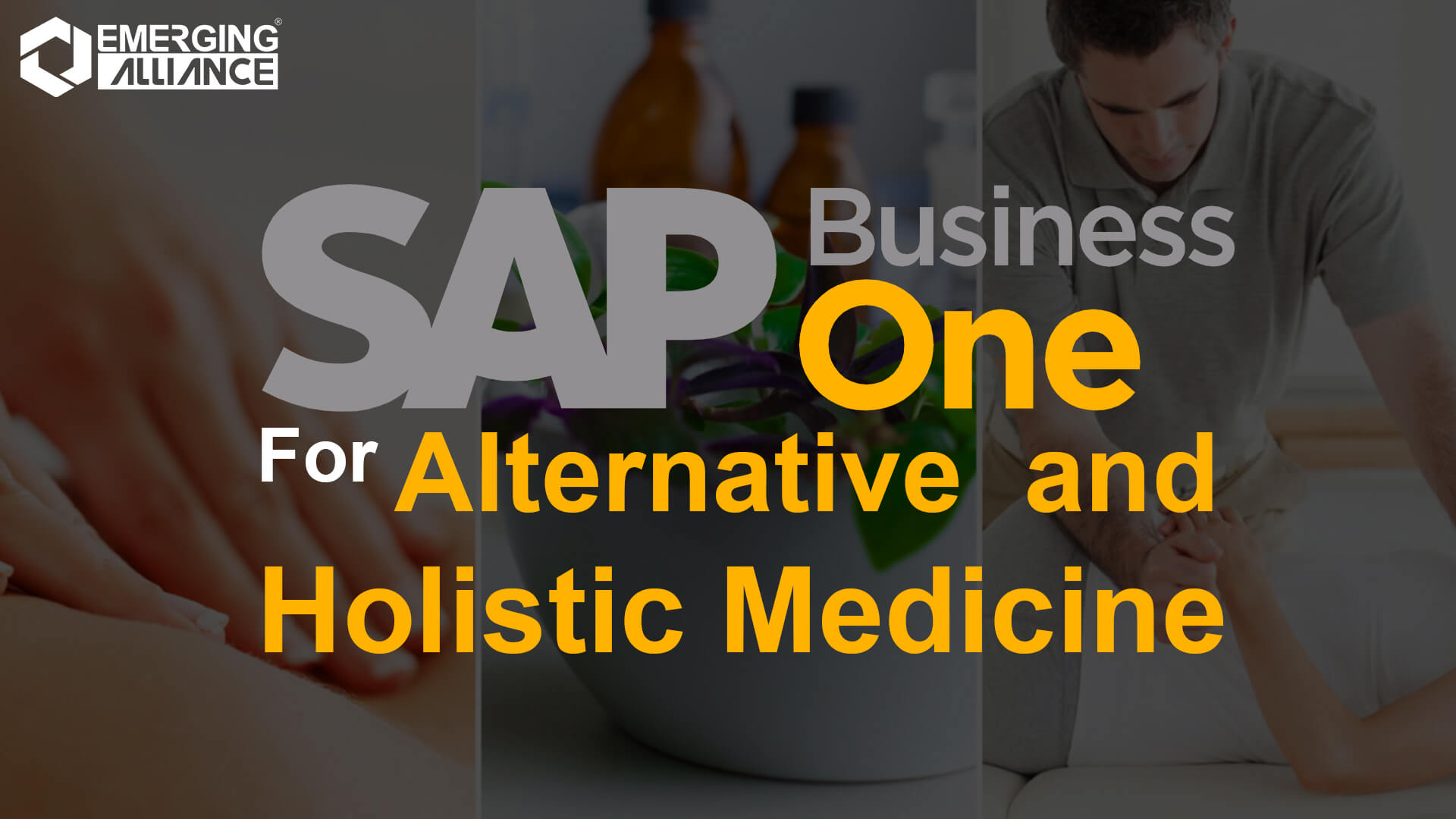 sap business one for alternatives and holistic medicine