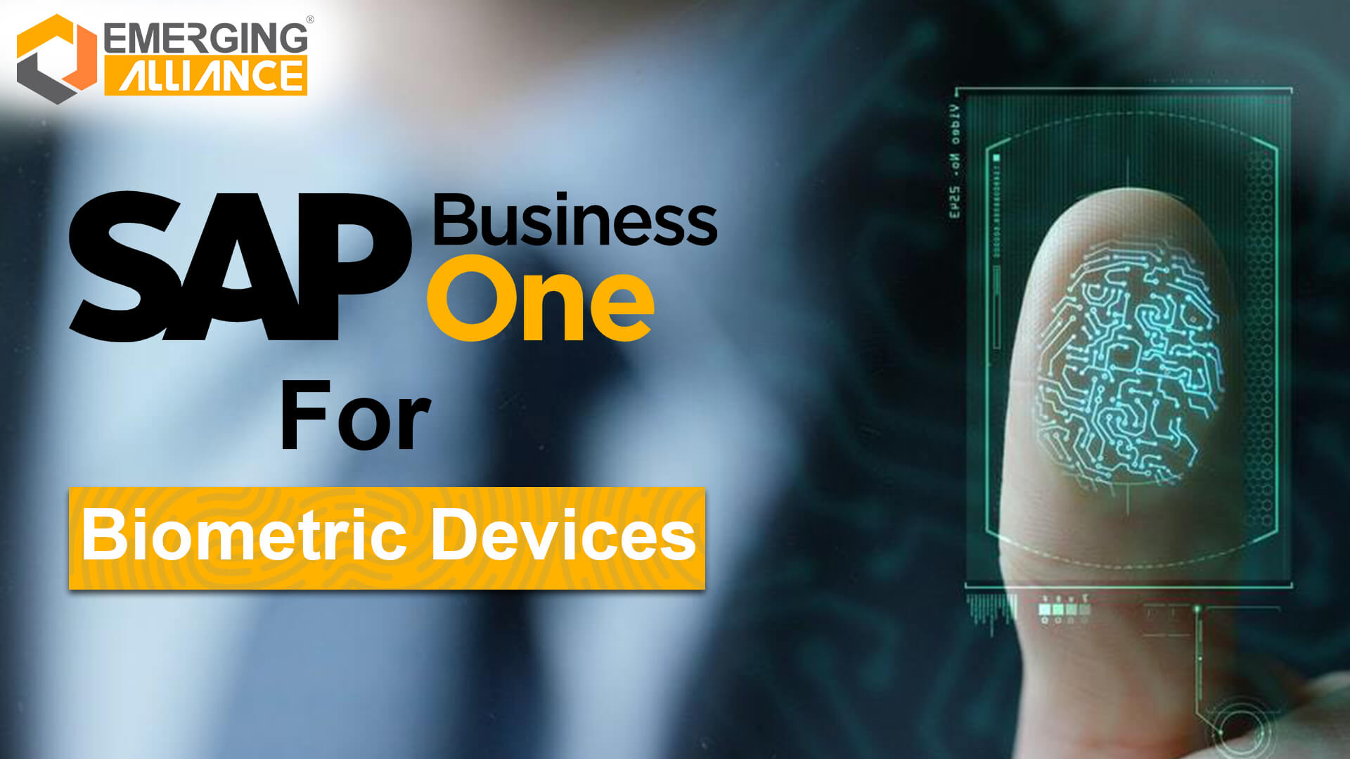 sap business one for biometric devices