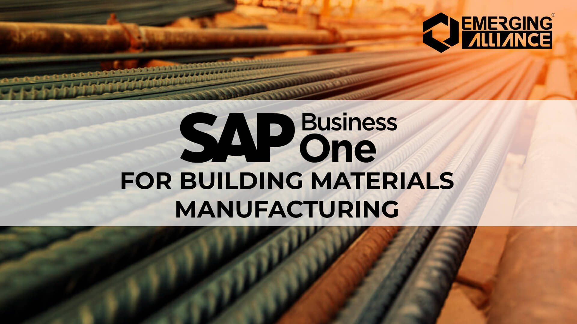 sap business one for building materials manufacturing