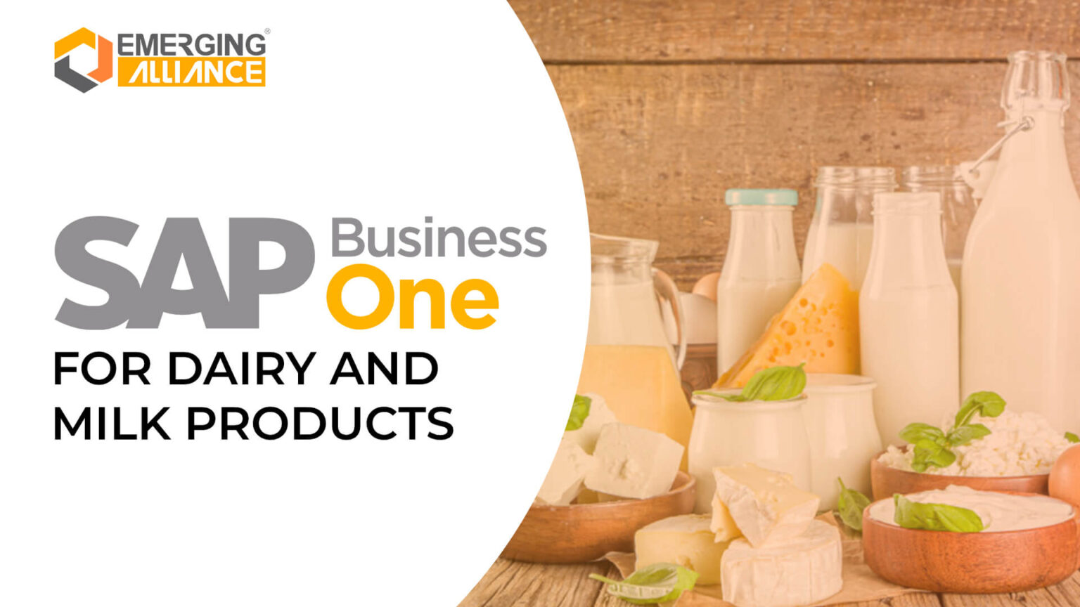SAP Business One / SAP B1 ERP for Dairy and Milk Products SAP B1