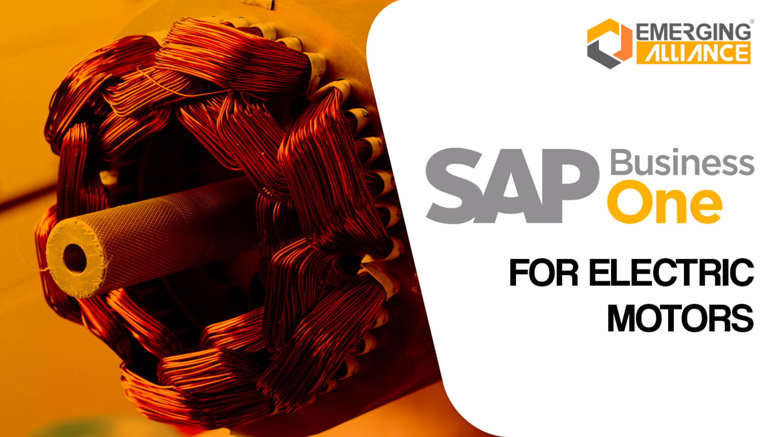 SAP Business One / SAP B1 ERP for Electric Motors - SAP B1