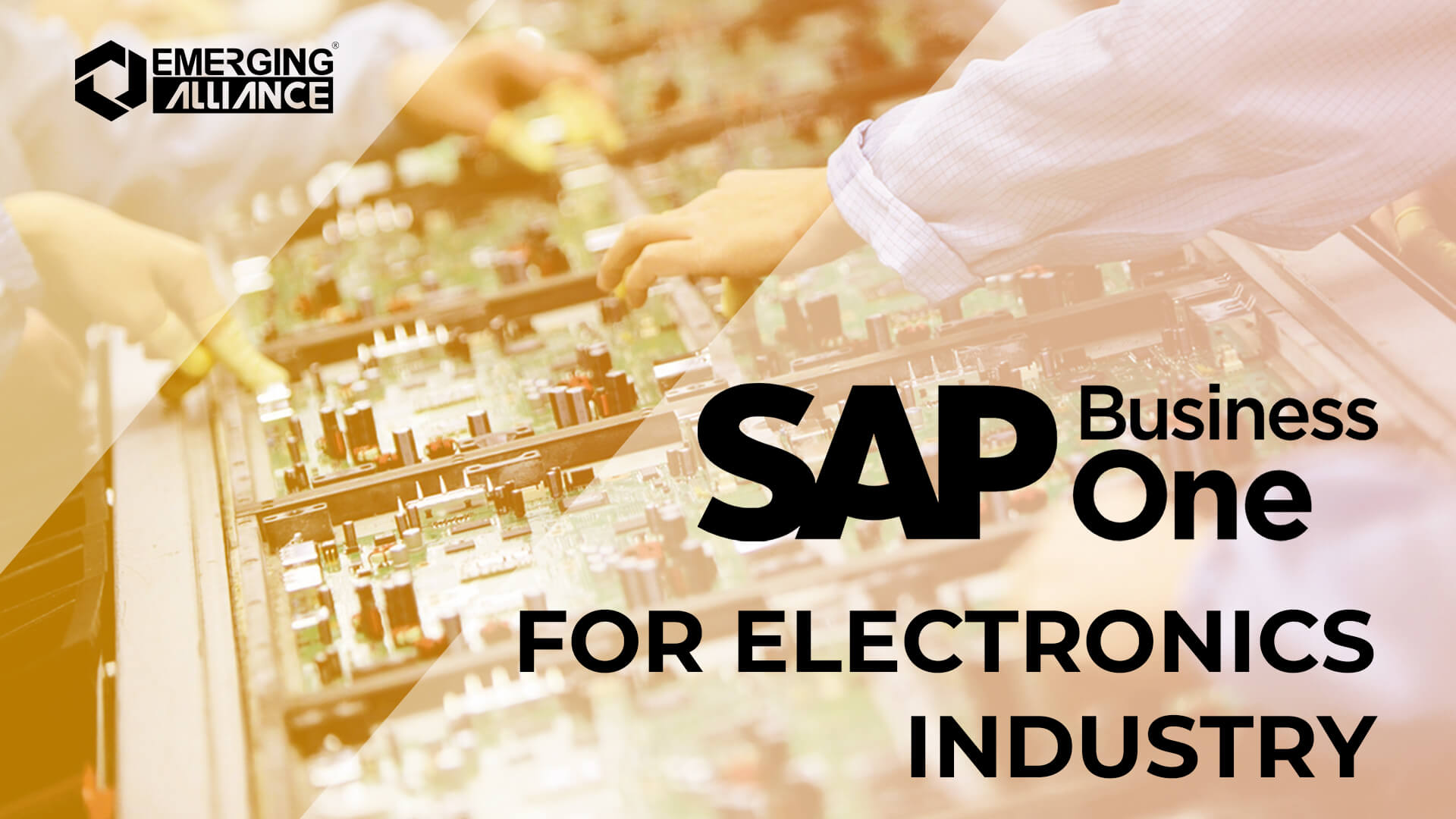 sap business one for electronics industry