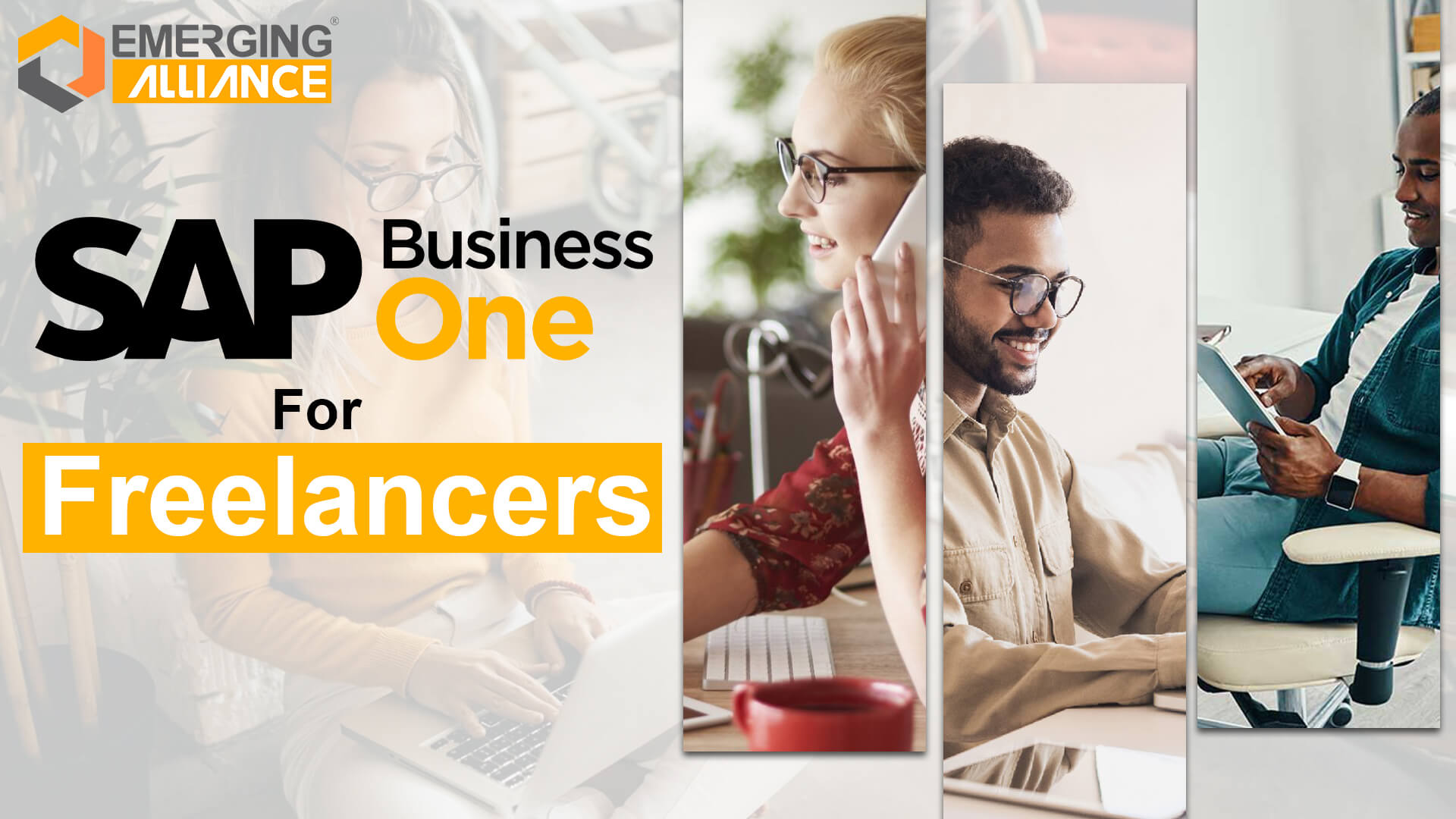 sap business one for freelancers