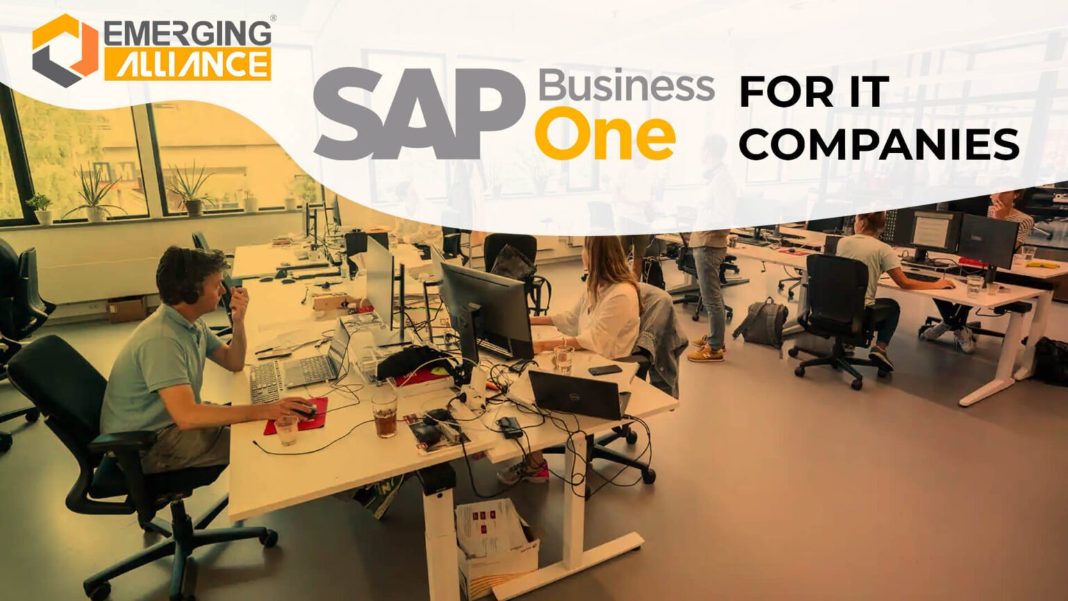 SAP Business One / SAP B1 ERP for IT Companies SAP B1
