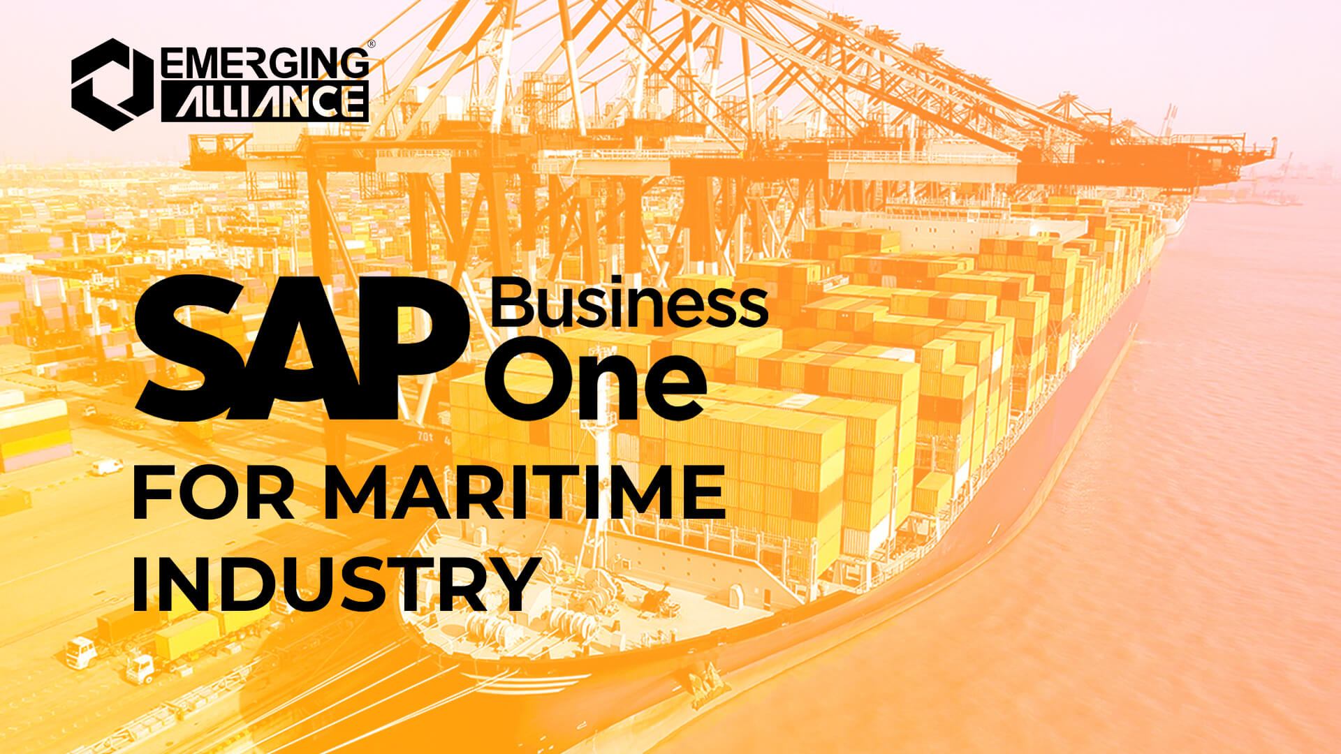 sap business one for maritime industry