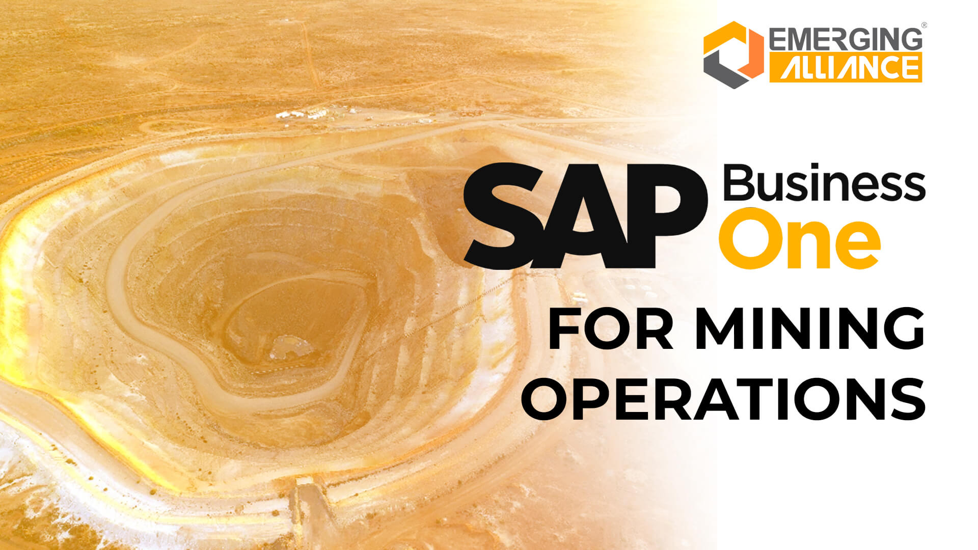 sap business one for mining operations