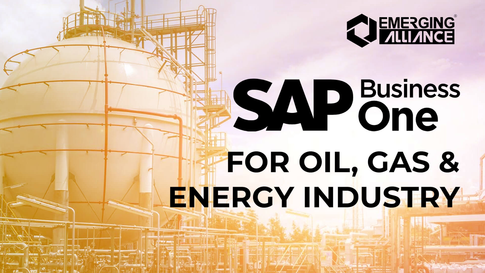 sap business one for oil gas & energy industry