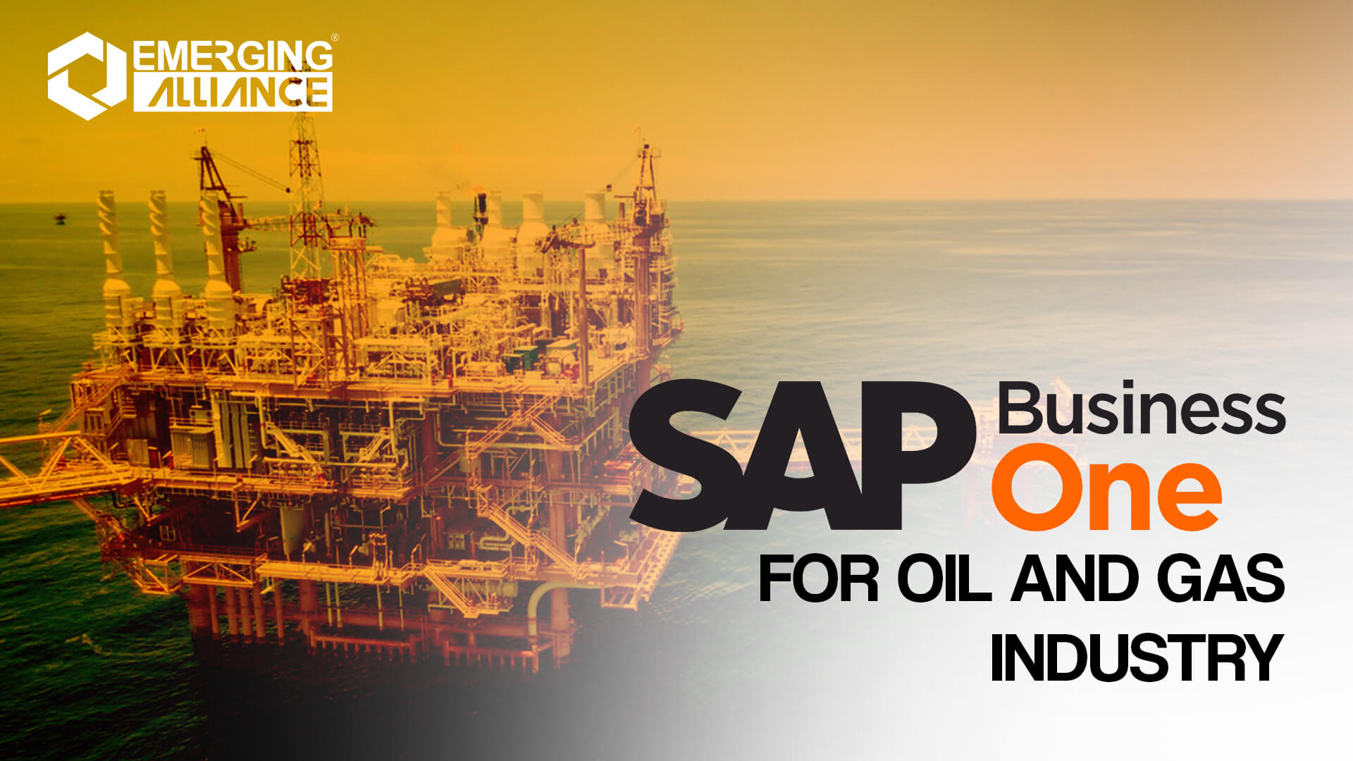 sap business one for oil and gas industry