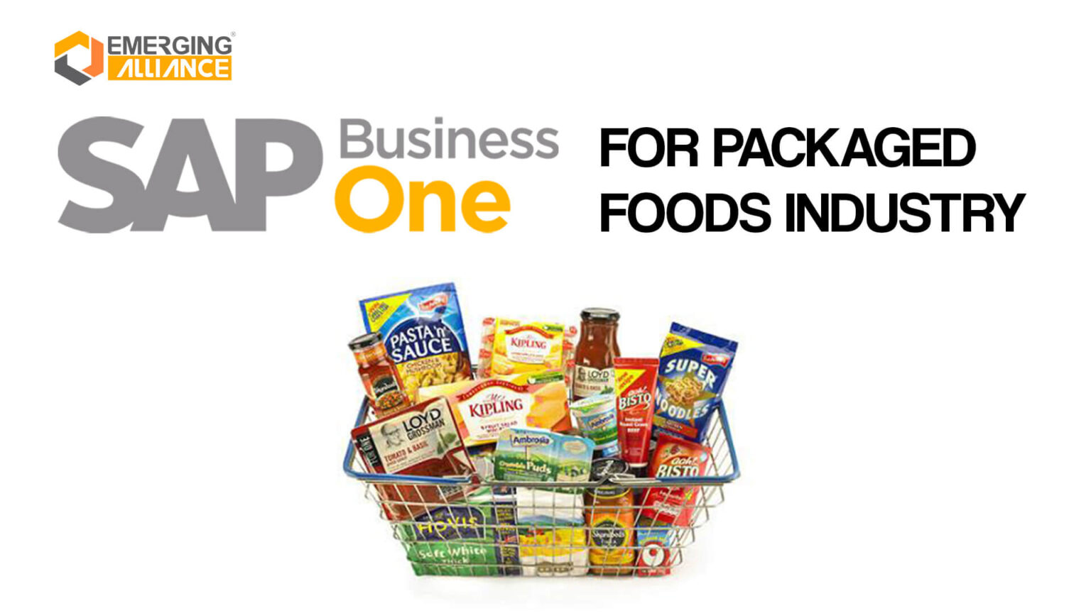 SAP Business One / SAP B1 ERP for Packaged Foods Industry SAP B1