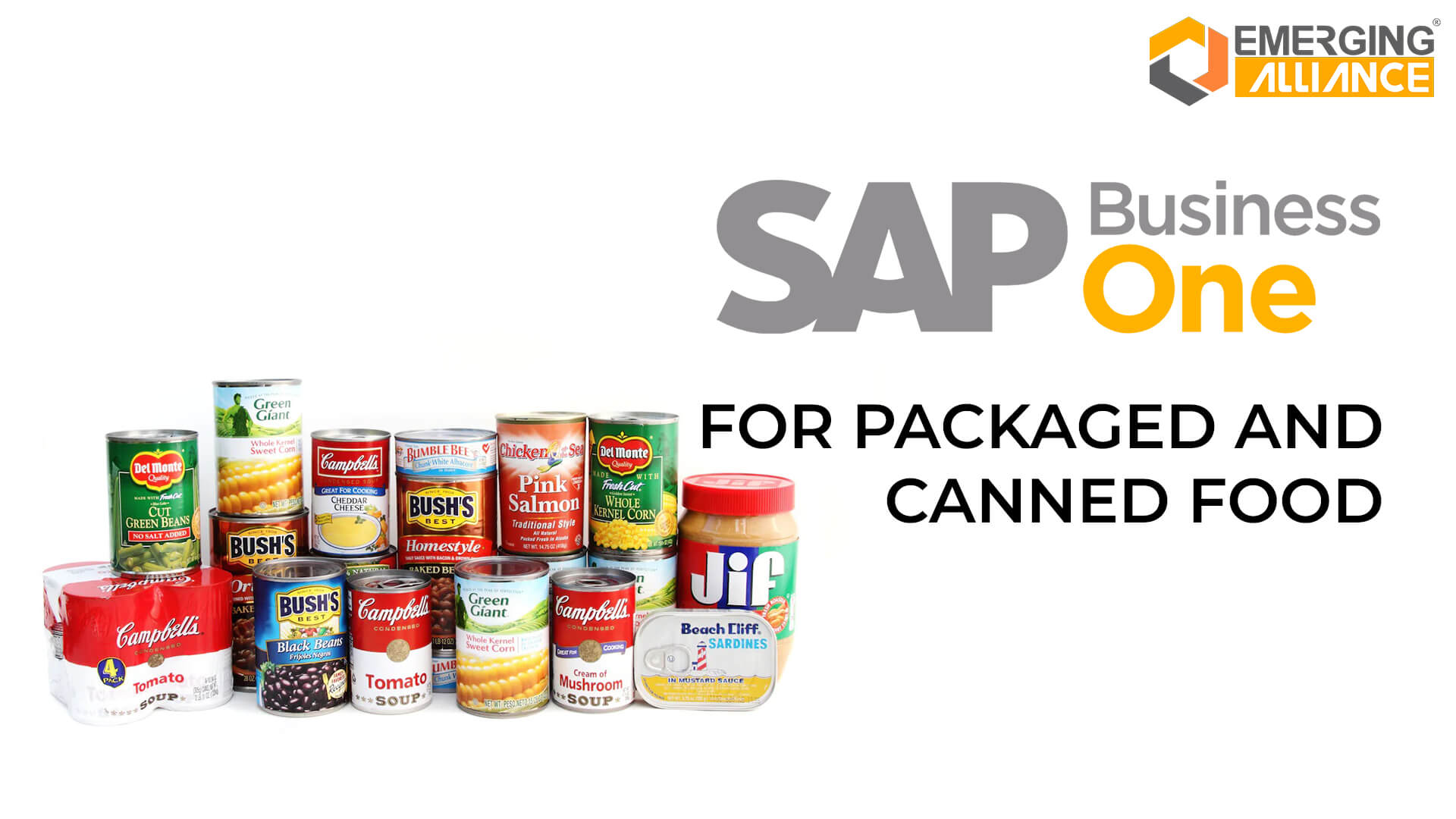 sap business one for packaged and canned food