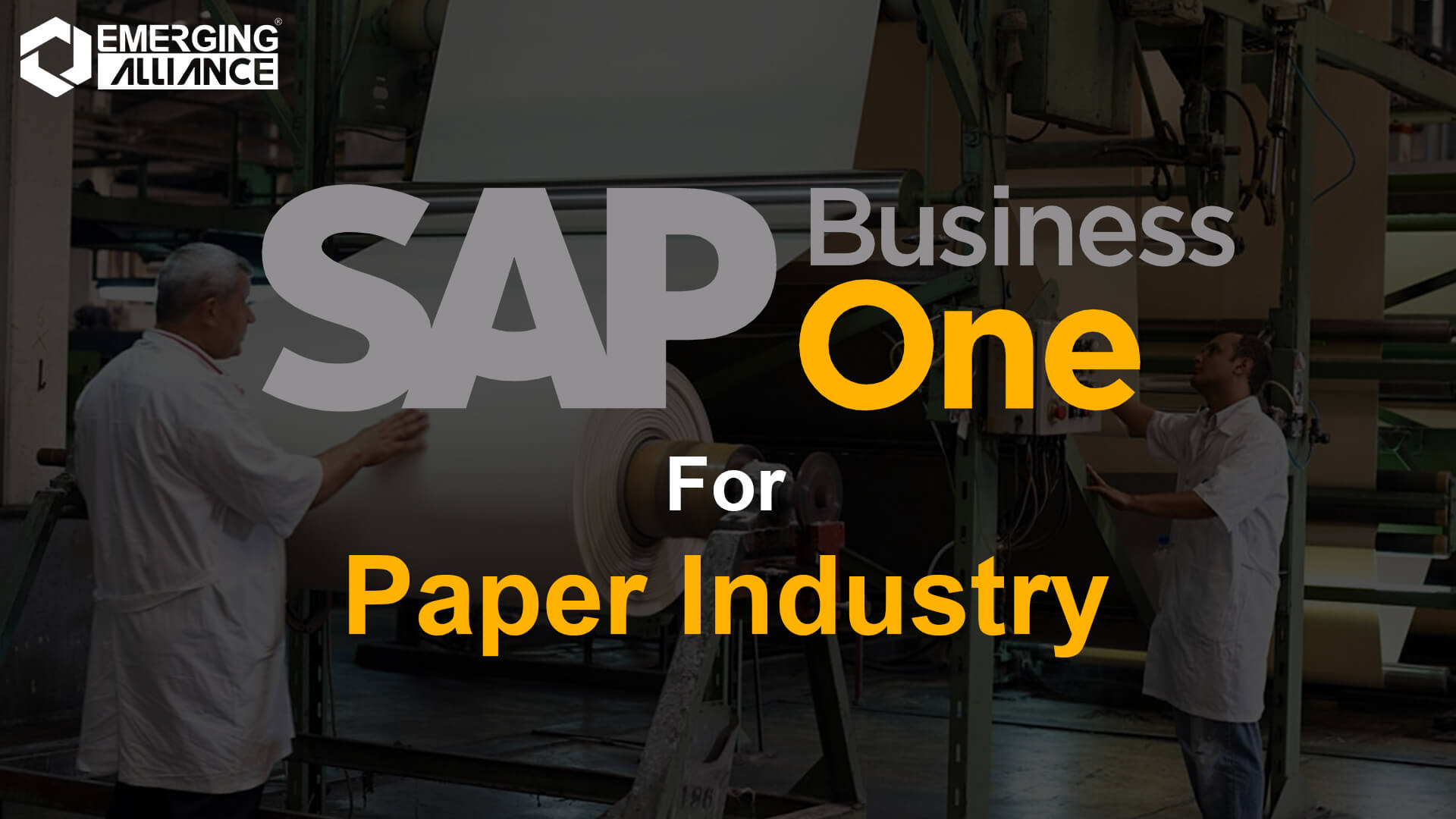 sap business one for paper industry