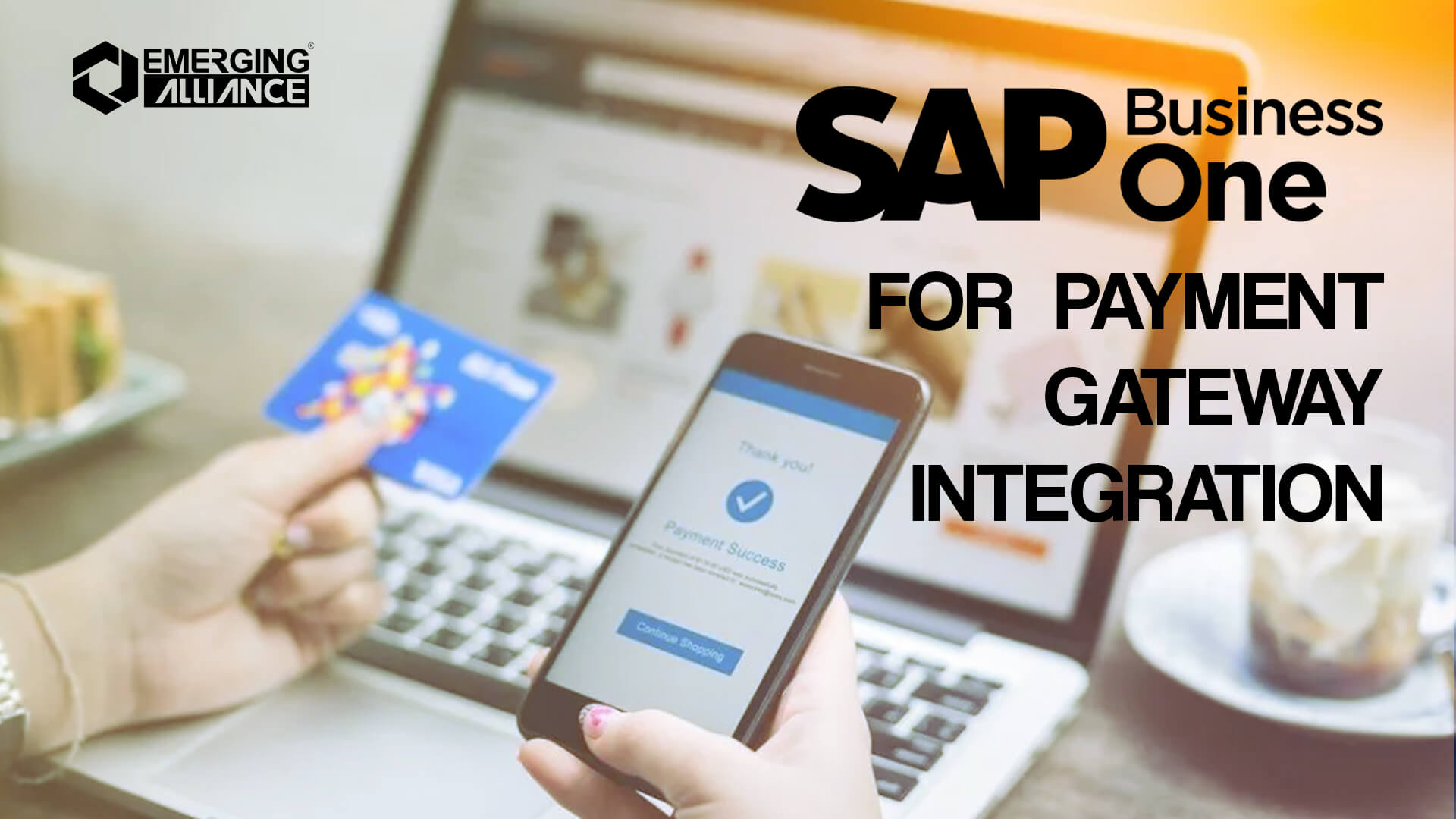 sap business one for paymet gateway integration