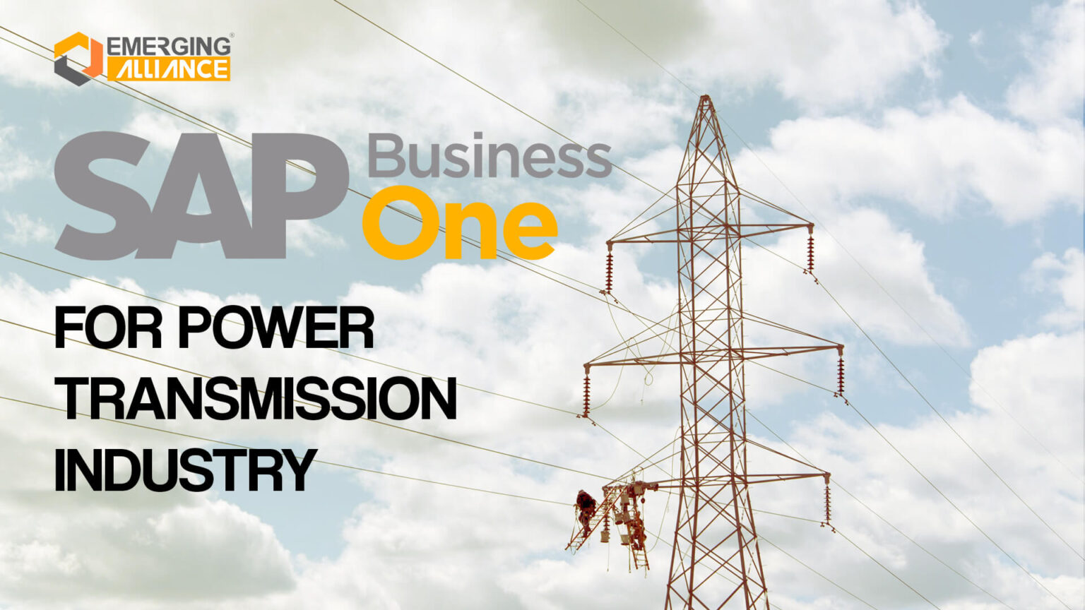 SAP Business One / SAP B1 ERP for Power Transmission Industry SAP B1