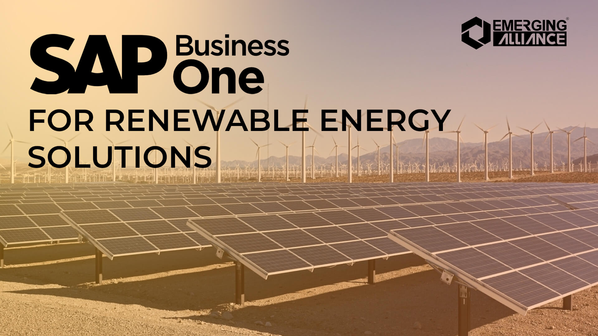 sap business one for renewable energy solutions