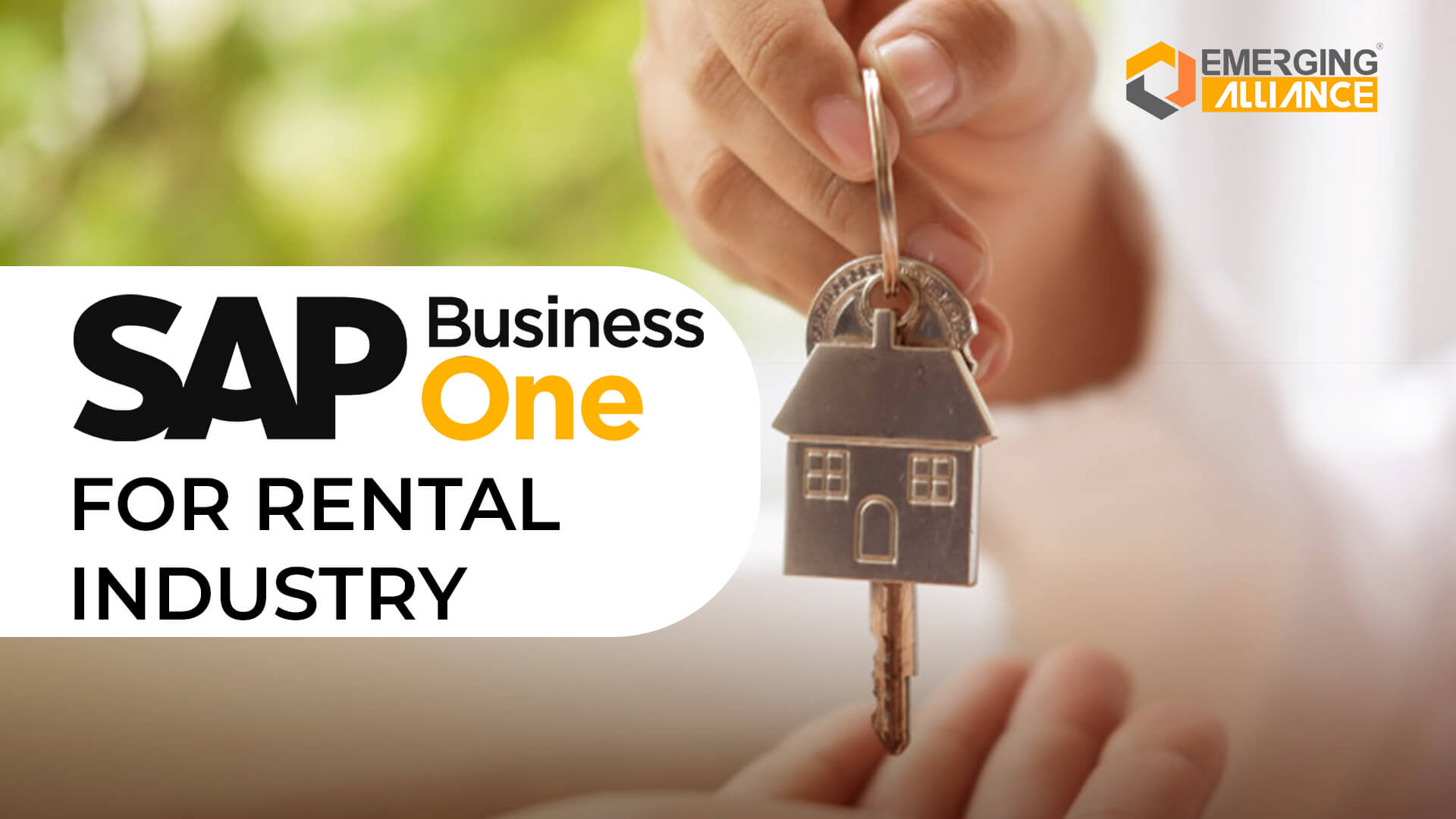 sap business one for rental industry