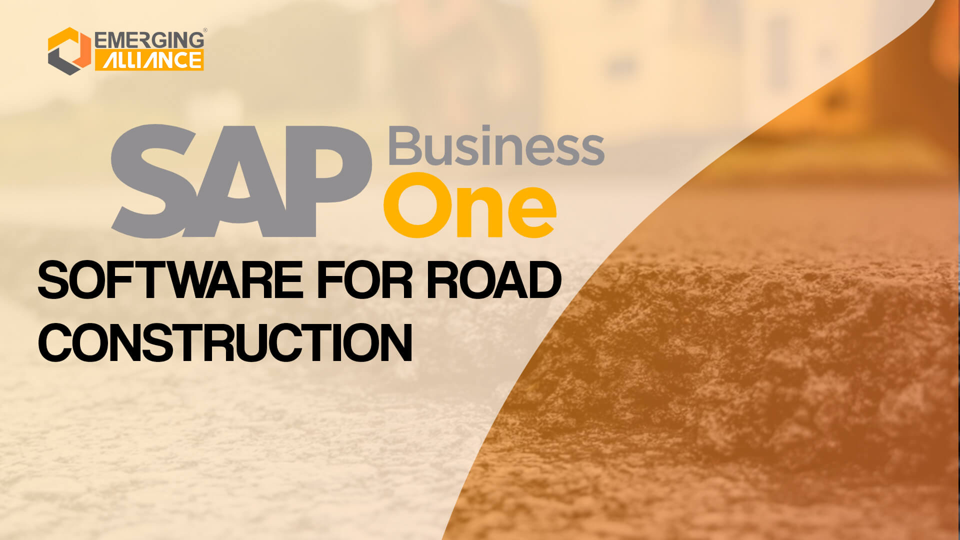 sap business one for software for road construction