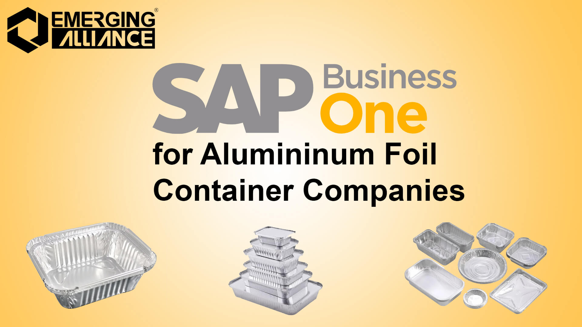 sap business one for Aluminium foil containers companies