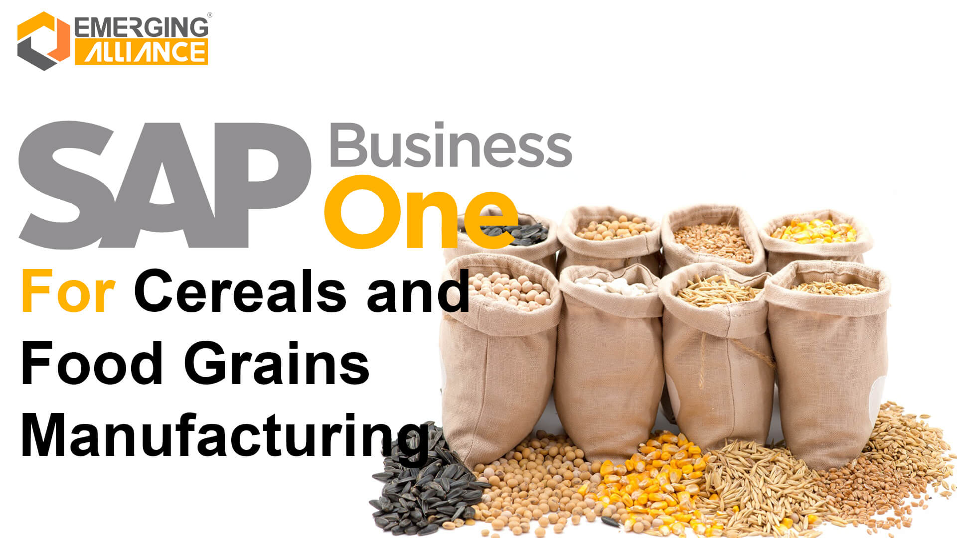 sap business one for cereals and food grains manufacturing