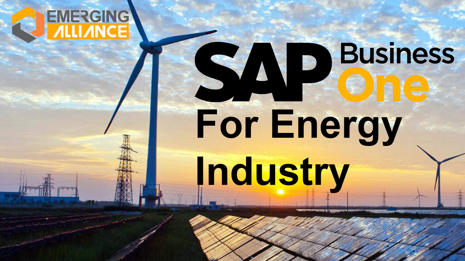 sap business one for energy industry