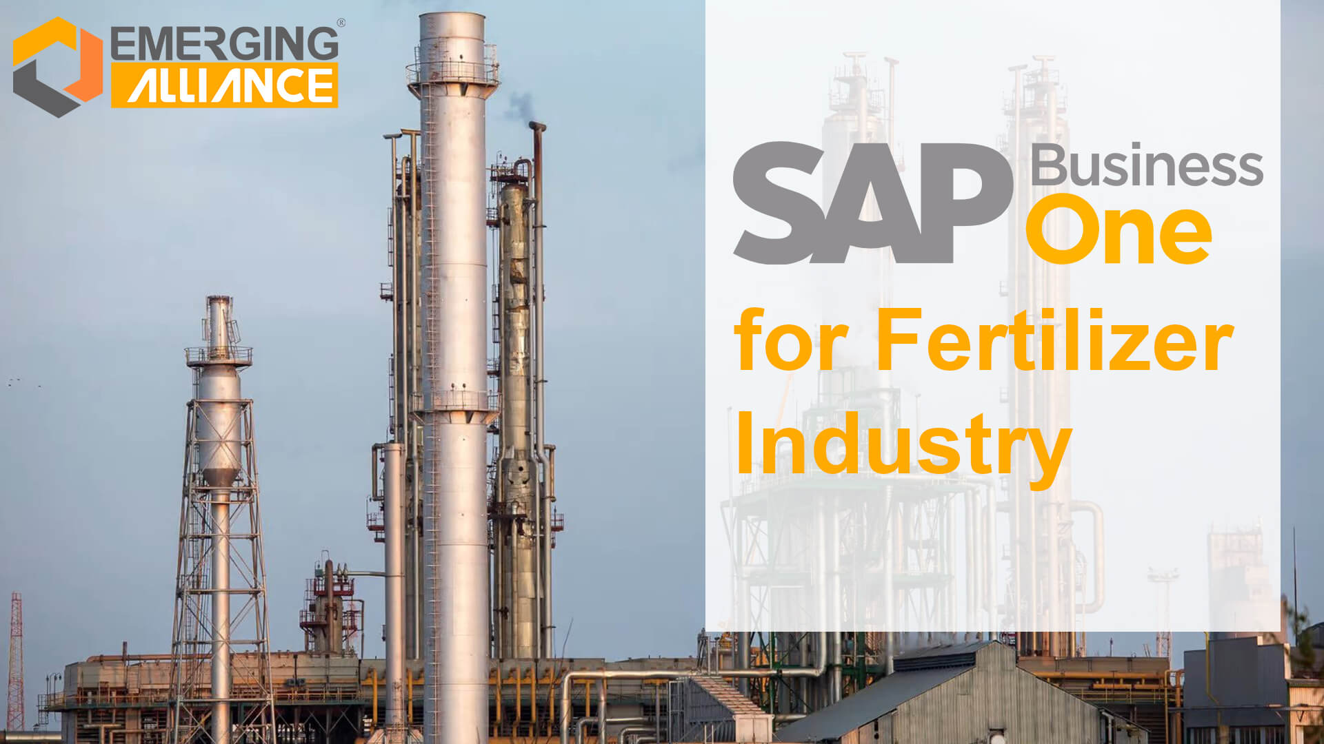 sap business one for fertilizer industry