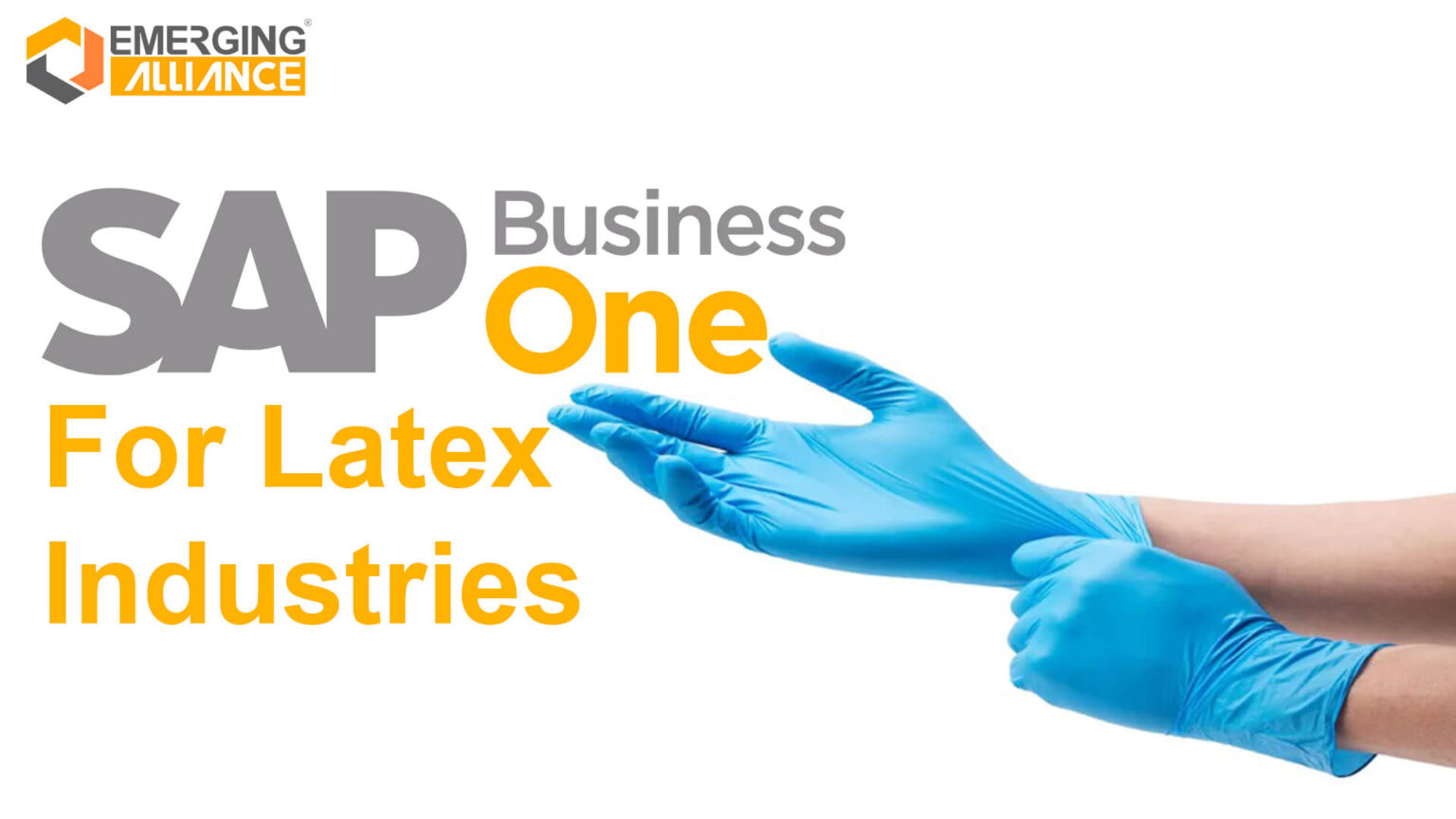 SAP Business One / SAP B1 ERP for Latex Industries SAP B1