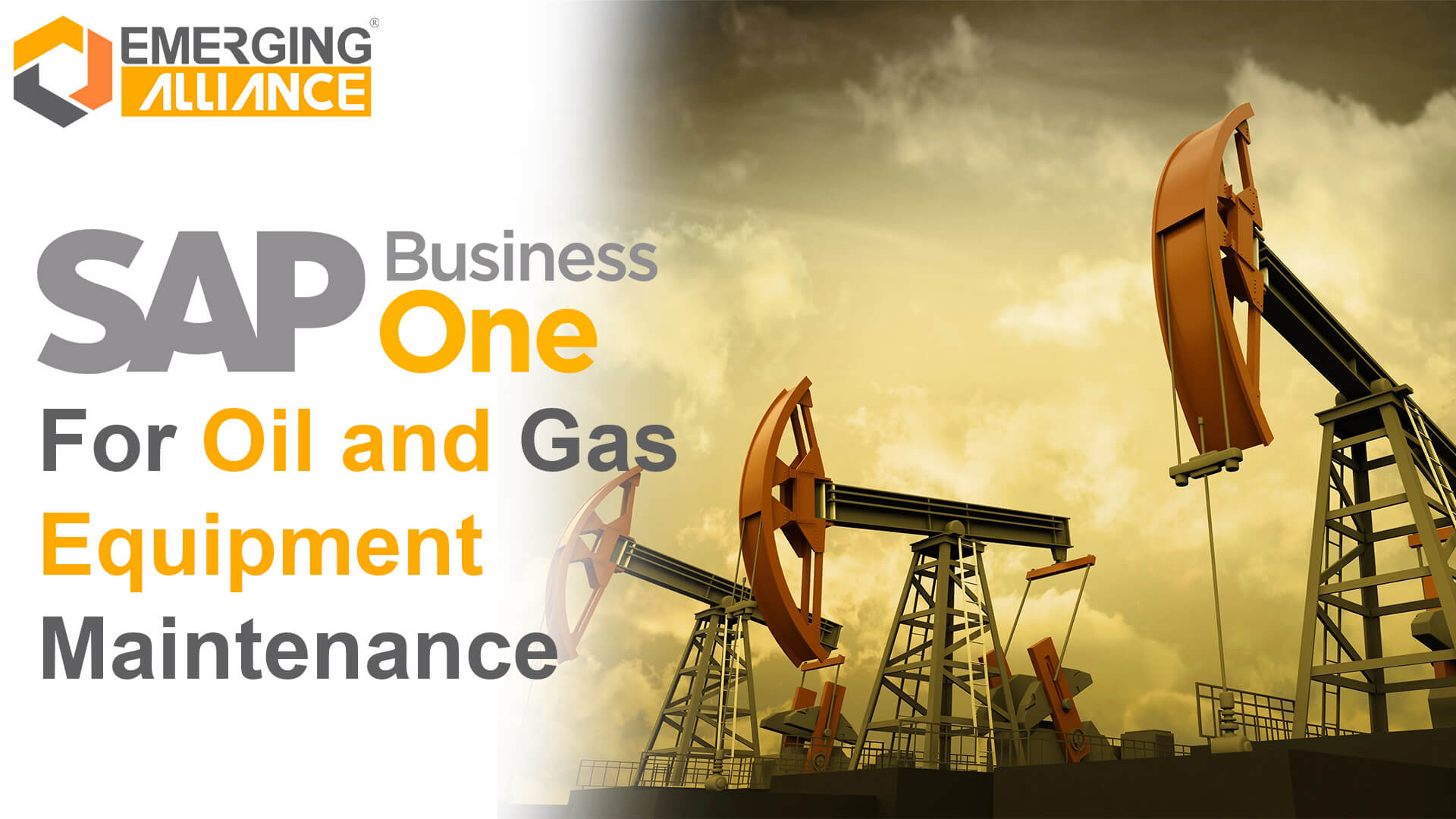 sap business one for oil and gas equipment maintenance