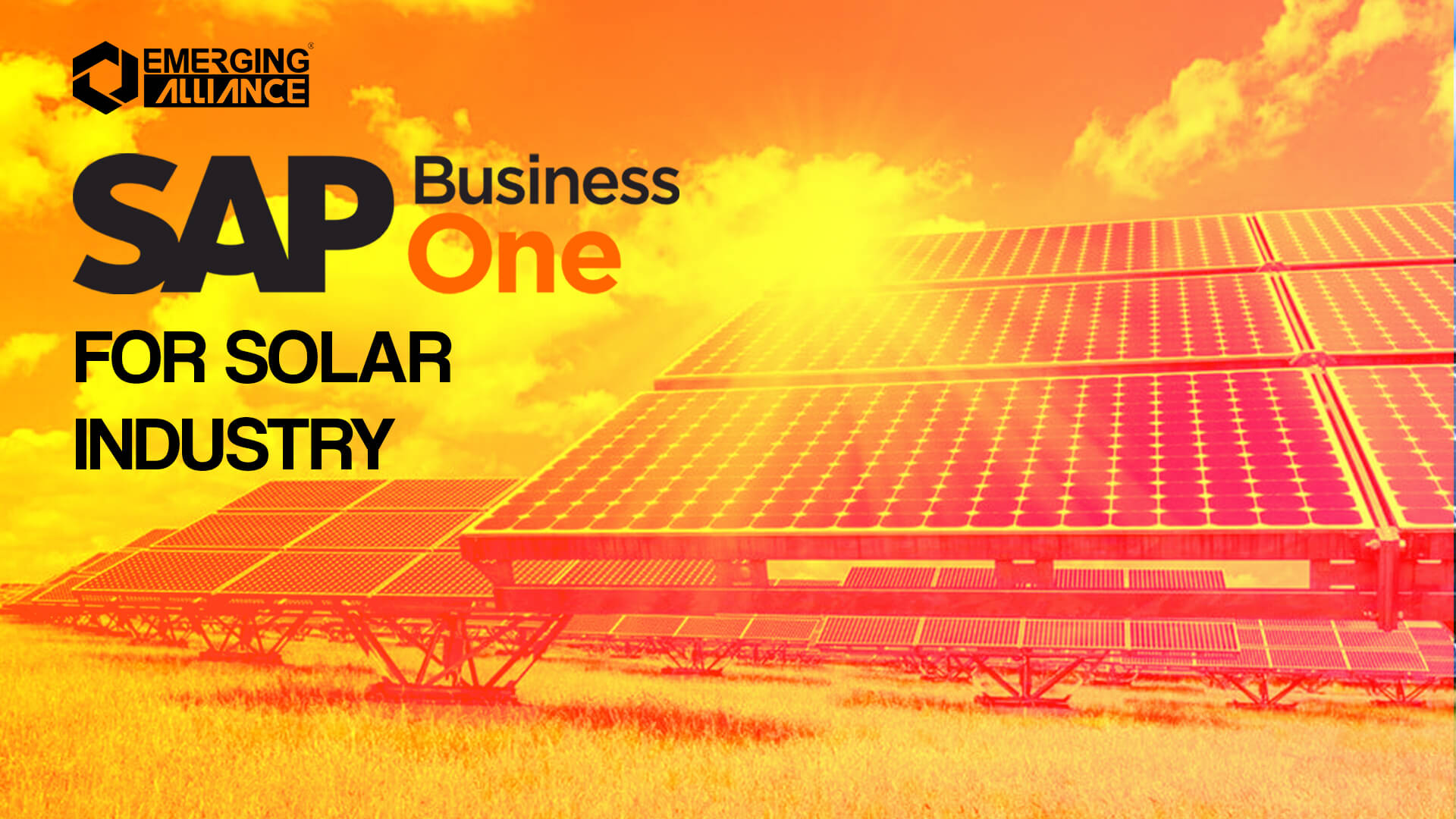 sap business one for solar industry