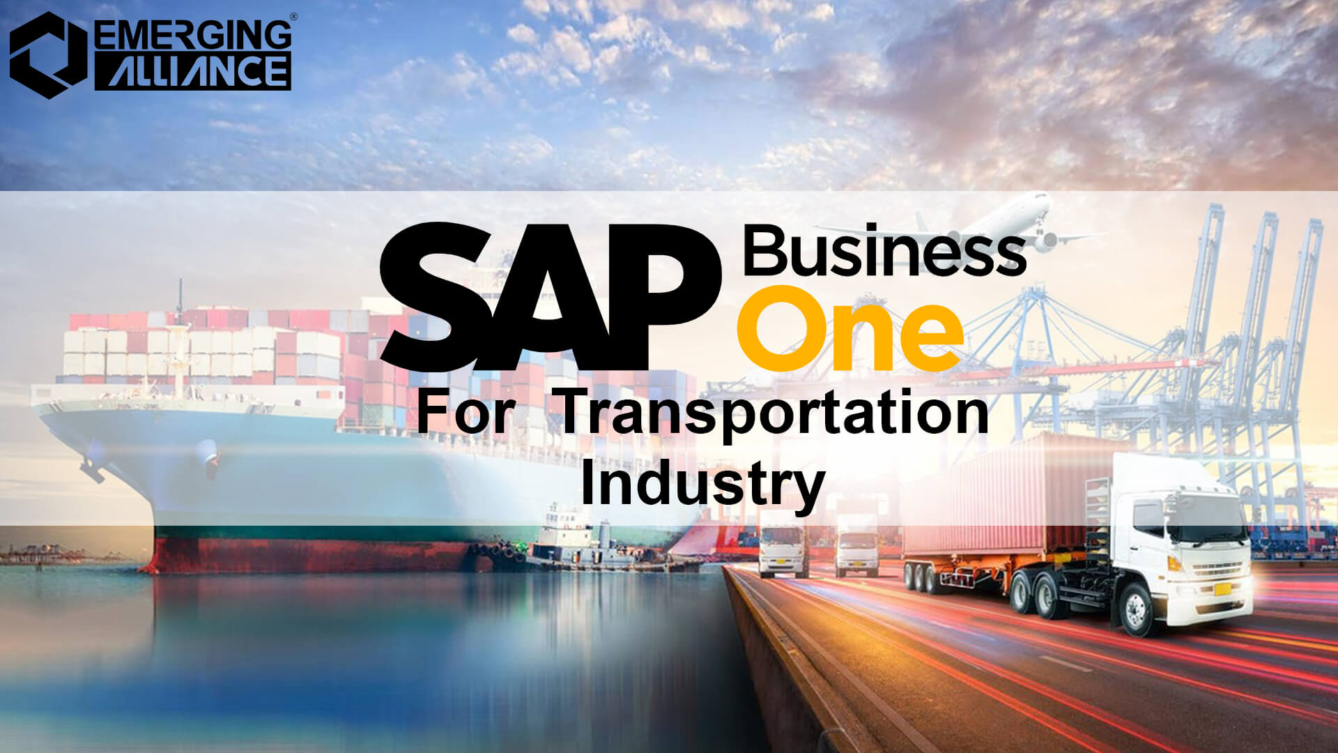sap business one for transportation industry