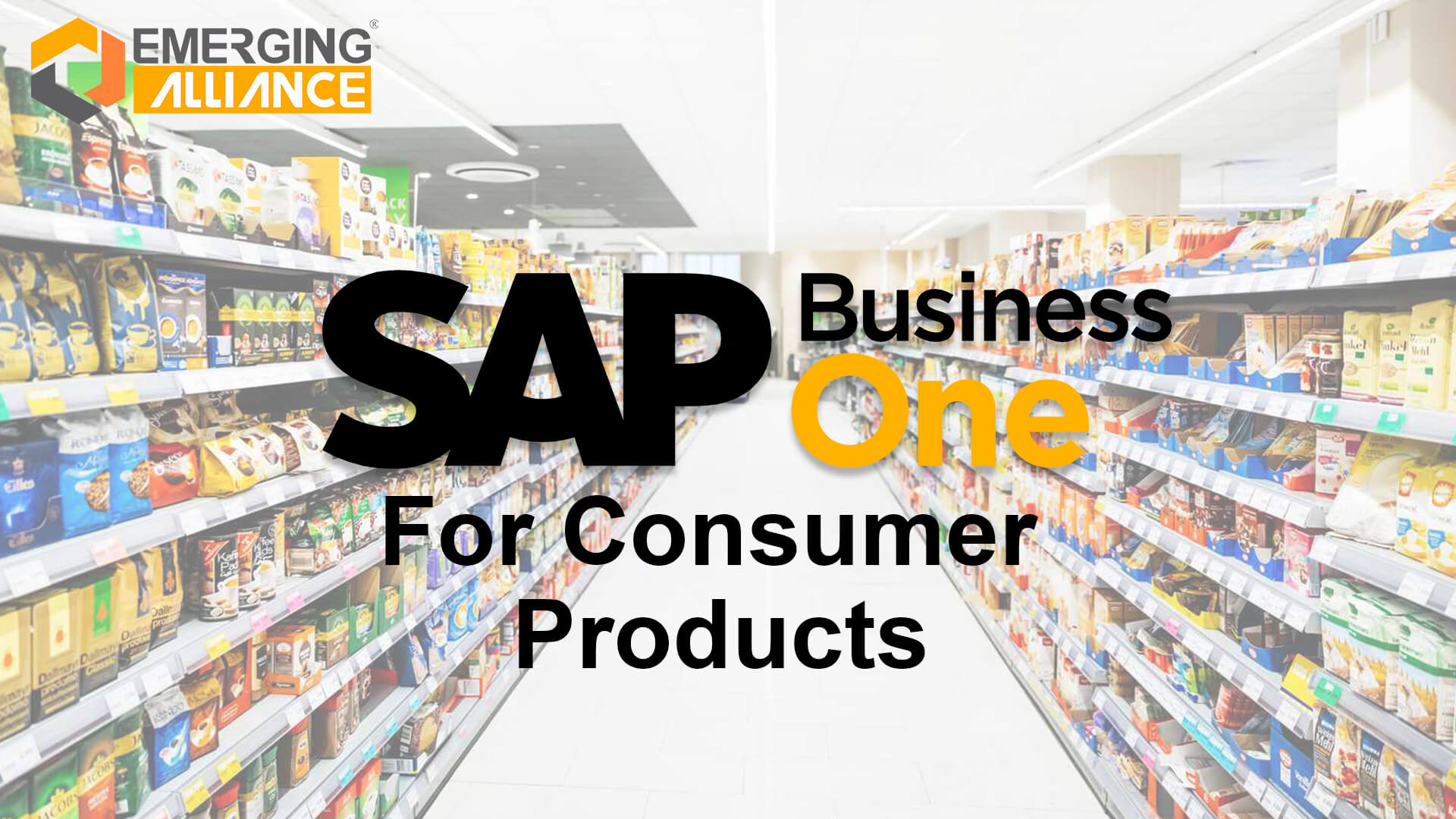 sap business one for consumer products