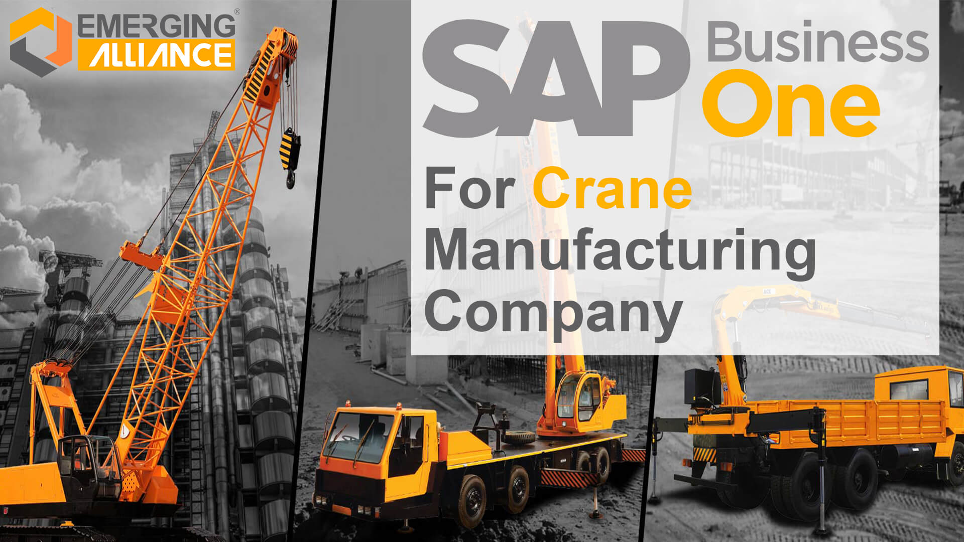 sap business one for crane manufacturing company
