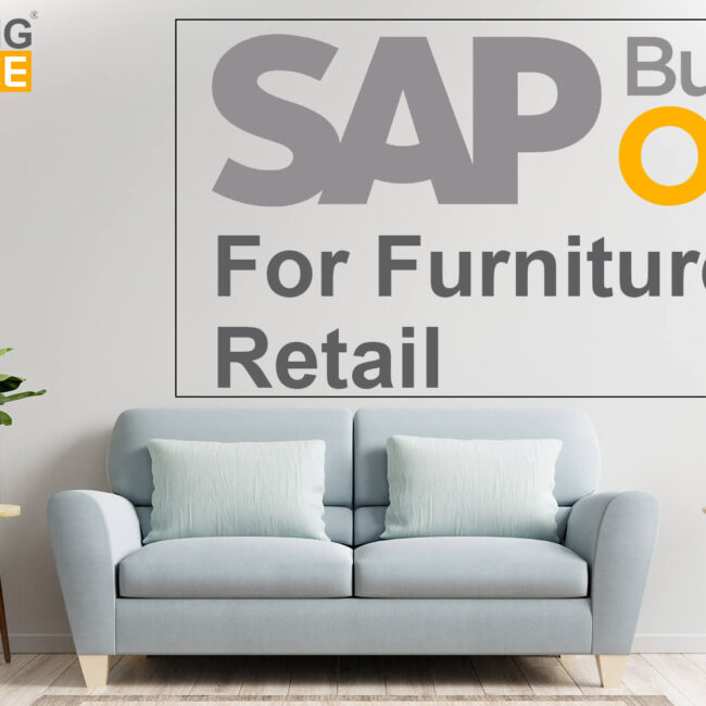 sap business one for furniture retail