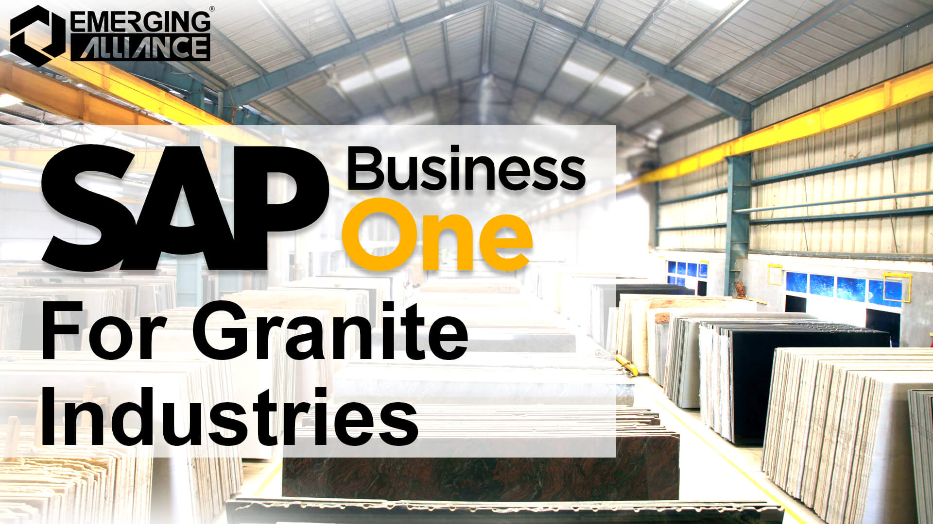 sap business one for granite industries