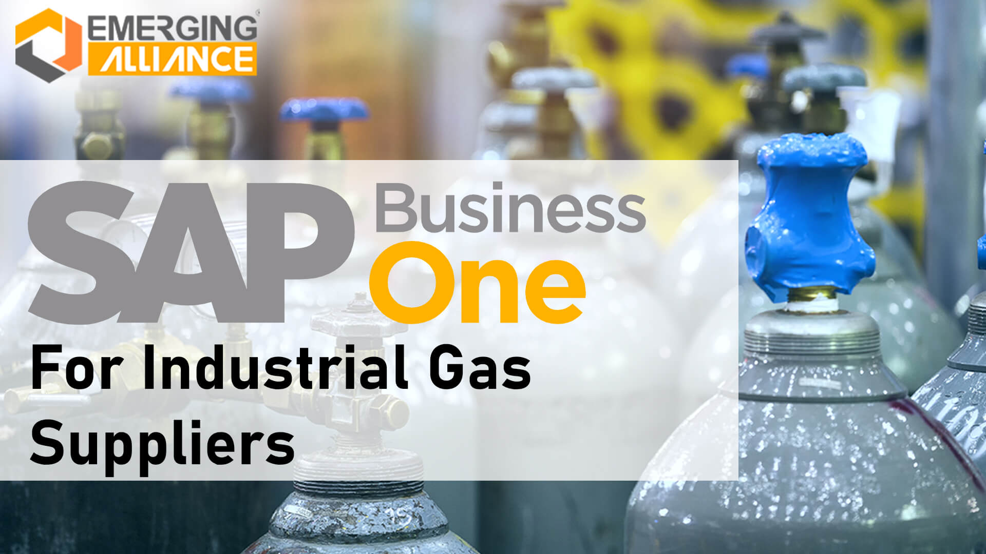 sap business one for Industrial gas suppliers