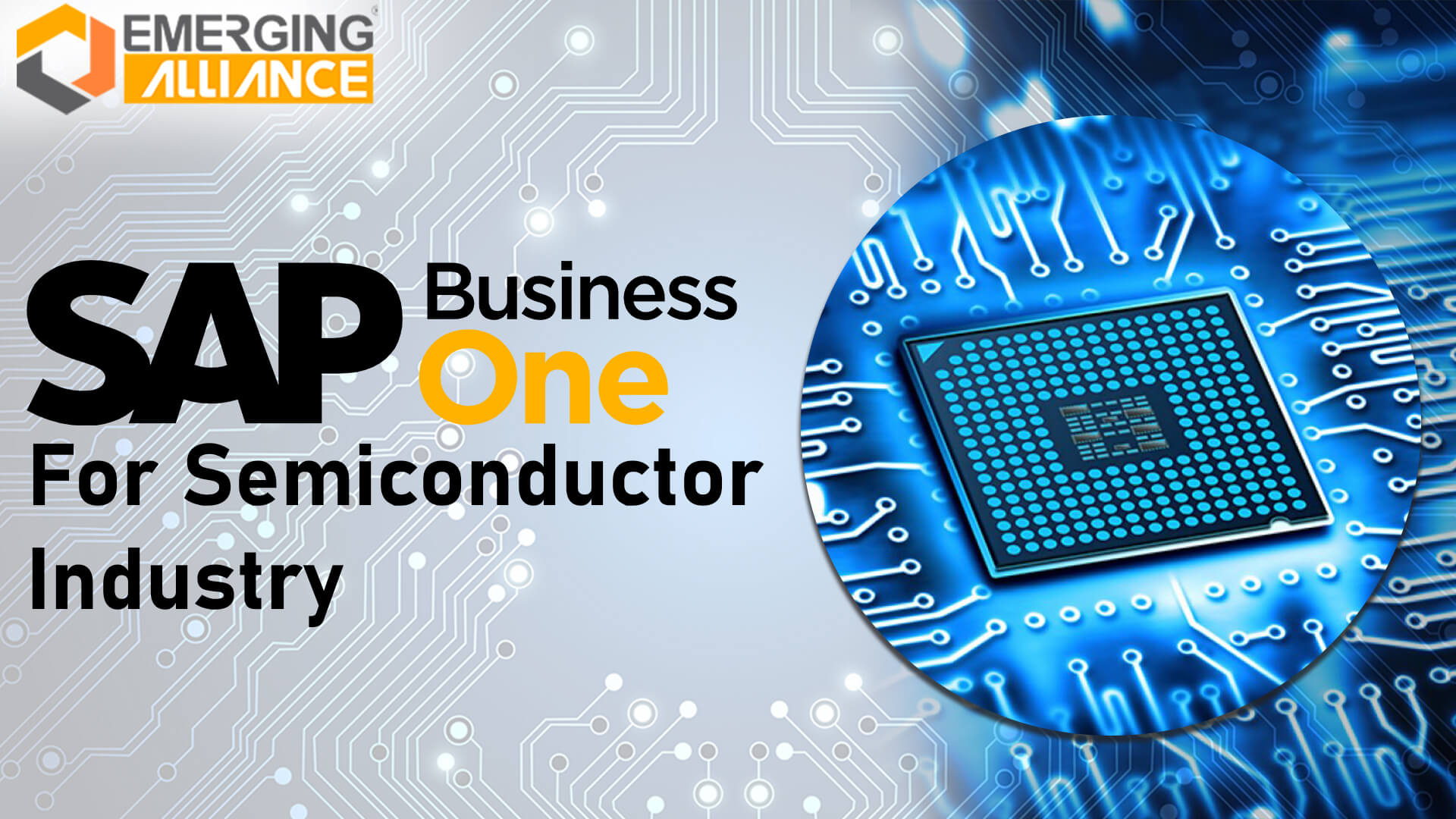sap business one for semiconductor industry