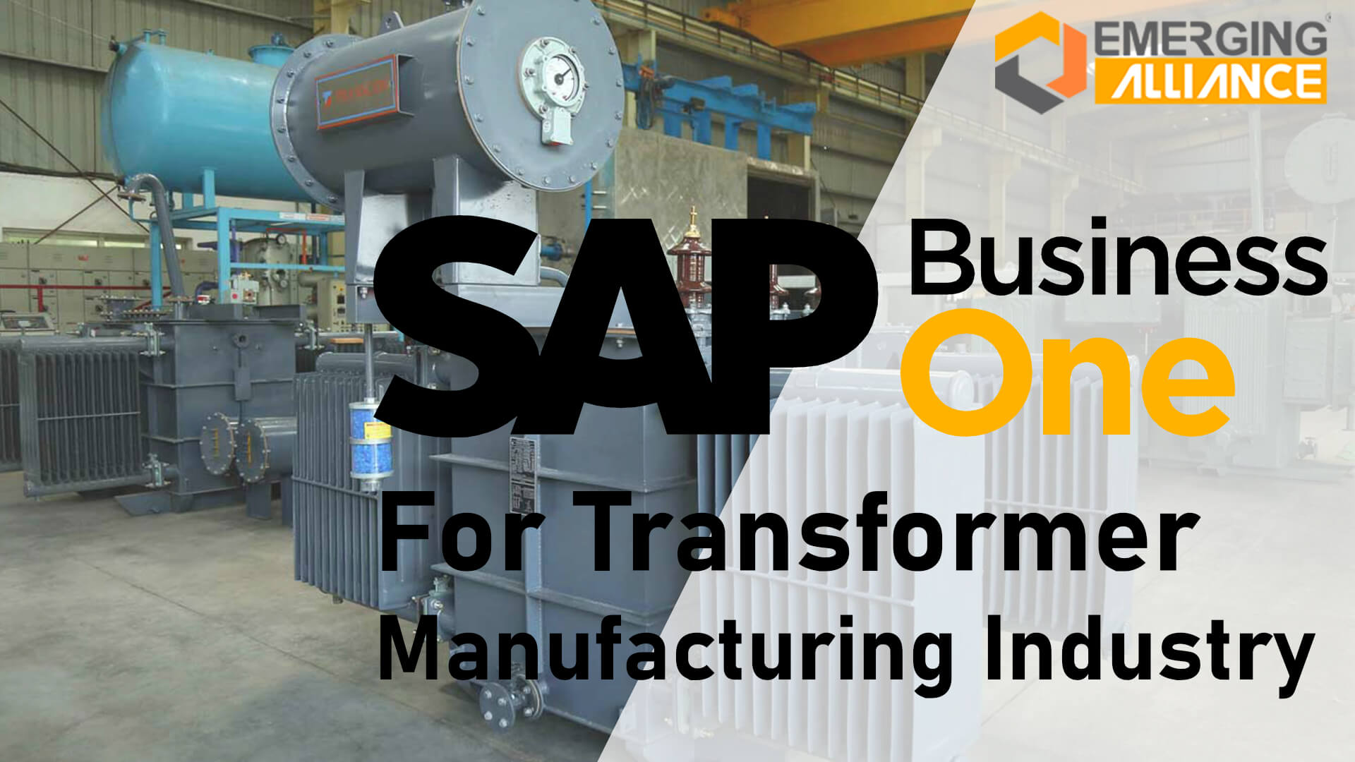 sap business one for transformer manufacturing industry