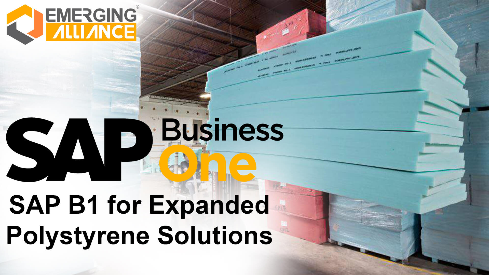 sap business one for Expanded Polystyrene Solutions