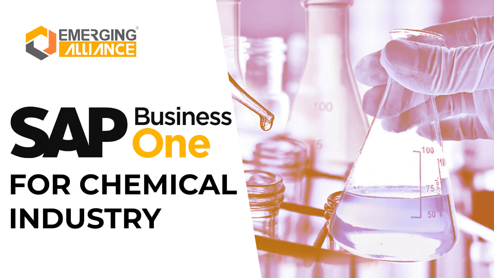 sap business one for chemical industry