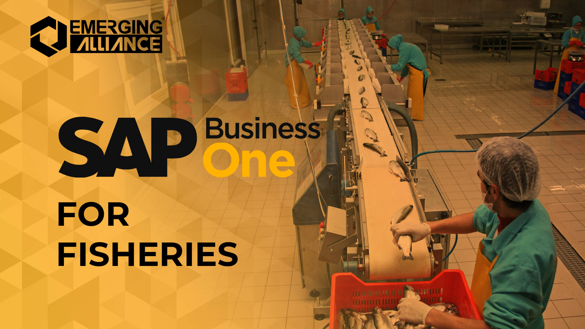 sap business one for fisheries