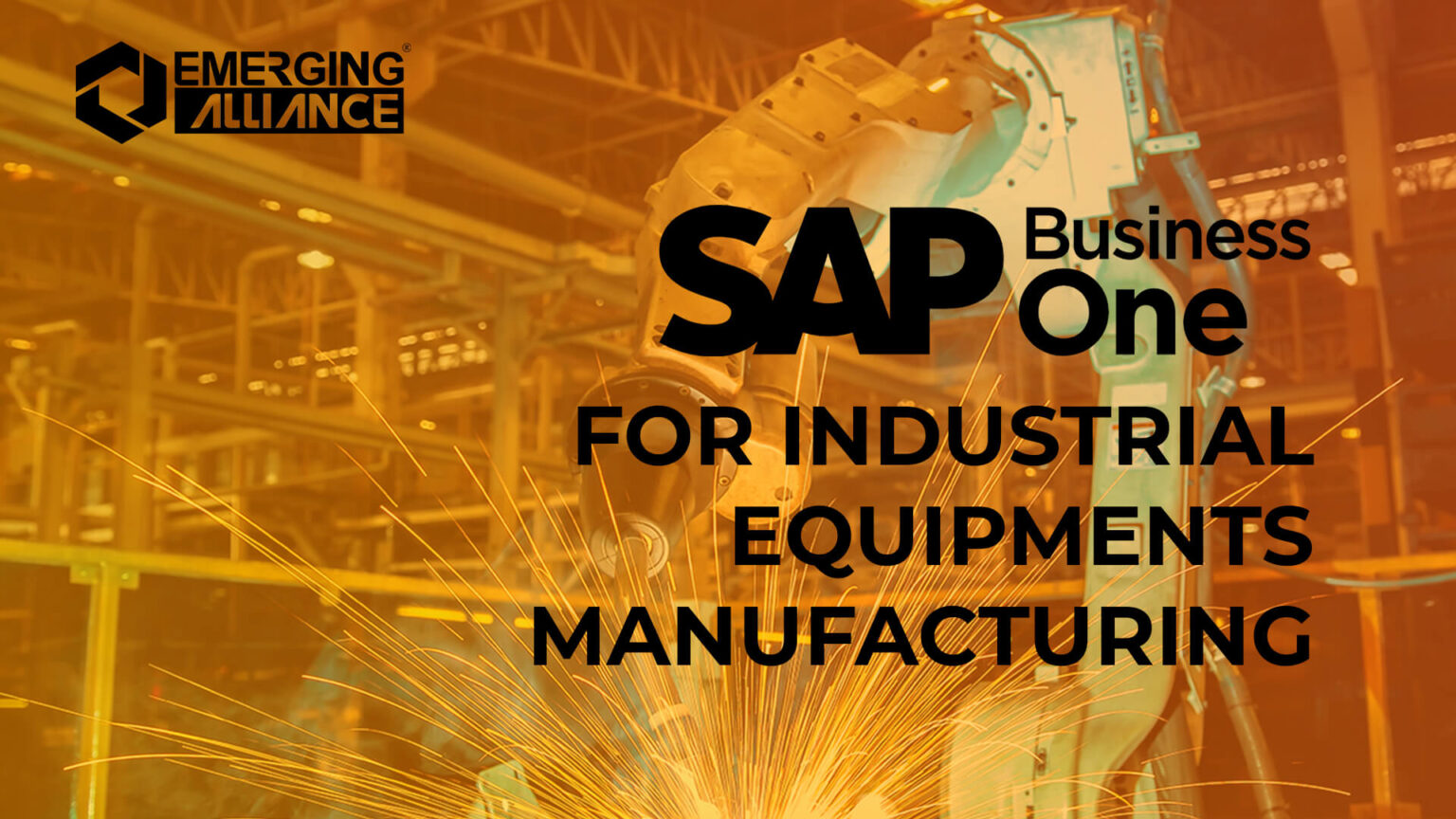 SAP Business One / SAP B1 for Industrial Equipment Manufacturing SAP B1