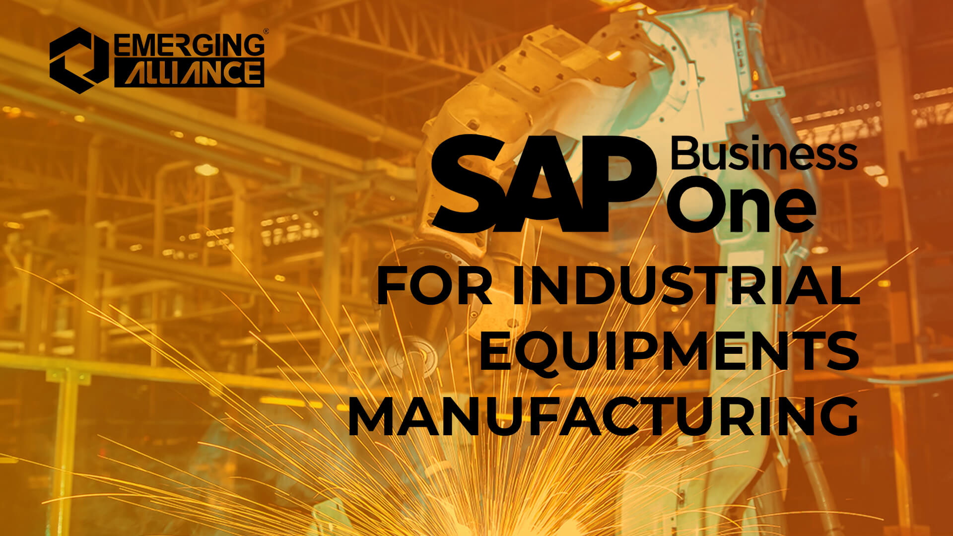 sap business one for industrial equipment manufacturing