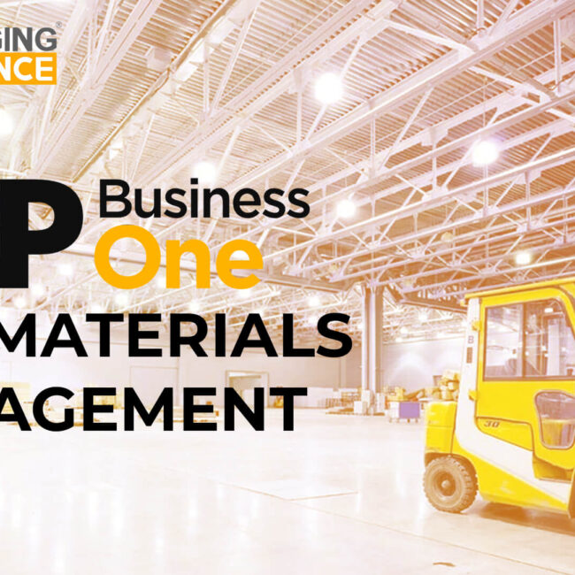 SAP Business One for materials management