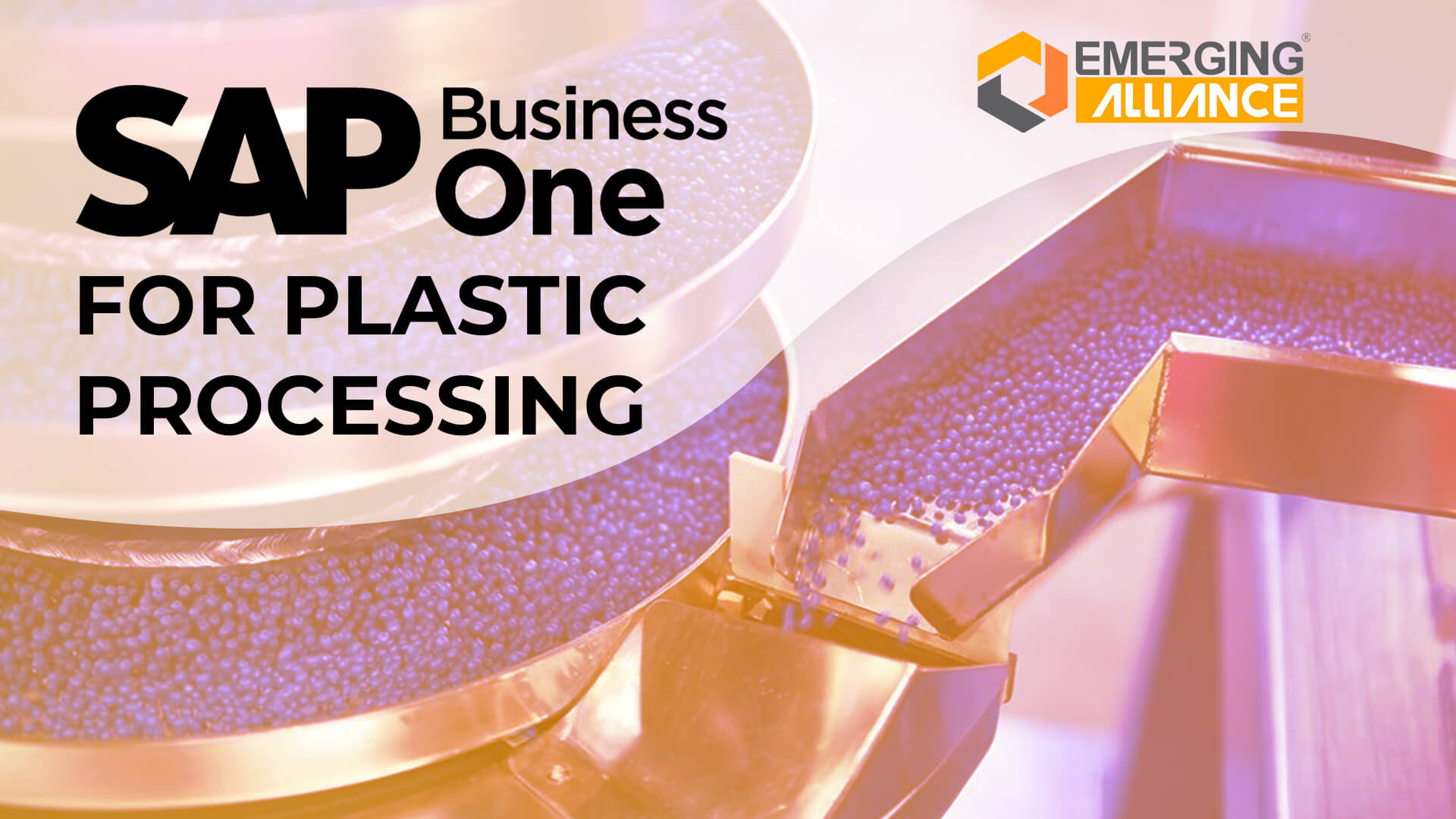 sap business one for plastic processing