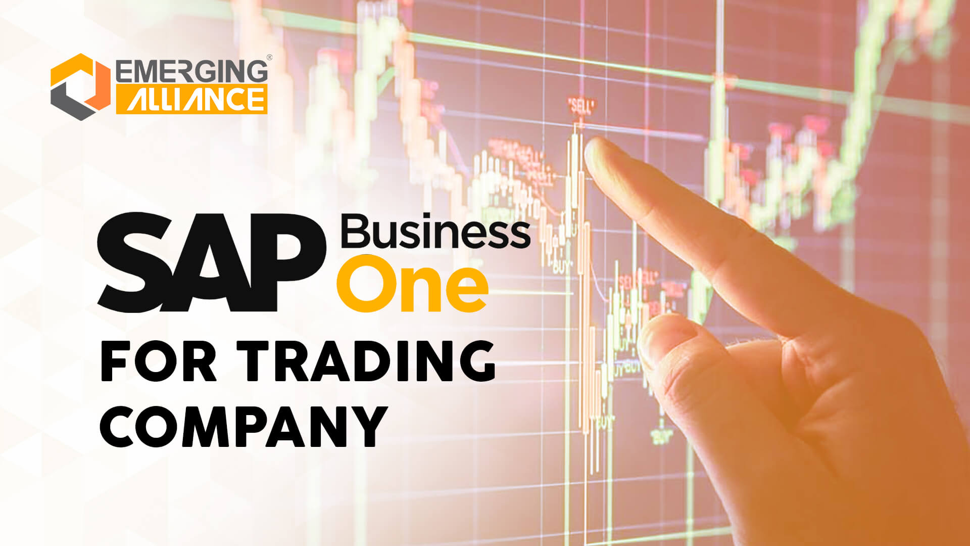 sap business one for Trading Company