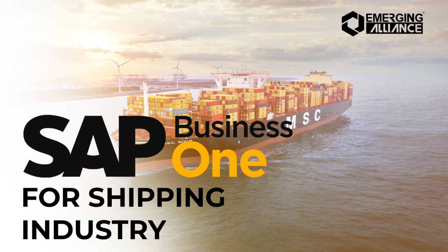 SAP Business One / SAP B1 for Shipping Industry SAP B1